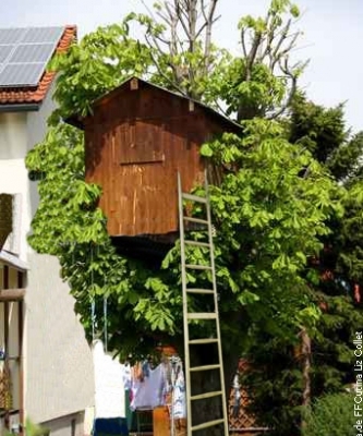 Baumhausleiter
