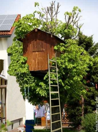 Baumhausleiter